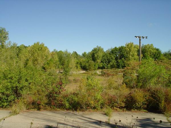 Jackson Motor Speedway - Pitts From Mike (newer photo)
